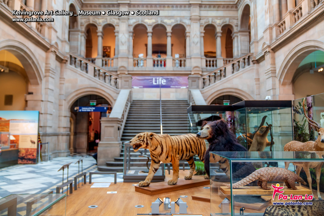 Kelvingrove Art Gallery & Museum